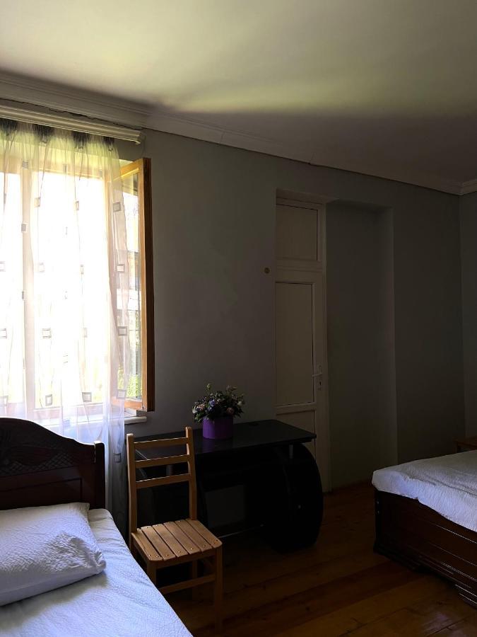 Guesthouse Kostava 72カズベギ エクステリア 写真